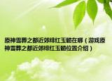 原神雪葬之都近郊绯红玉髓在哪（游戏原神雪葬之都近郊绯红玉髓位置介绍）