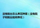 没有阳台怎么养花种菜（没有院子和阳台如何养花）