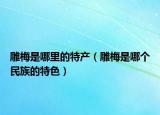 雕梅是哪里的特产（雕梅是哪个民族的特色）