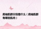 肩袖肌群分别是什么（肩袖肌群有哪些肌肉）