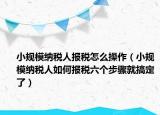 小规模纳税人报税怎么操作（小规模纳税人如何报税六个步骤就搞定了）
