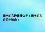 杨字的右边是什么字（杨字的右边的字读音）