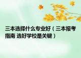 三本选择什么专业好（三本报考指南 选好学校是关键）