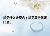 梦见什么会复合（梦见复合代表什么）