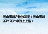 黄山毛峰产地与茶类（黄山毛峰茶叶 茶叶中的上上品）