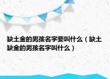 缺土金的男孩名字要叫什么（缺土缺金的男孩名字叫什么）