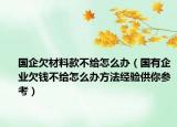 国企欠材料款不给怎么办（国有企业欠钱不给怎么办方法经验供你参考）