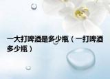 一大打啤酒是多少瓶（一打啤酒多少瓶）