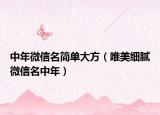 中年微信名简单大方（唯美细腻微信名中年）