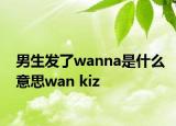 男生发了wanna是什么意思wan kiz