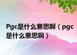 Pgc是什么意思啊（pgc是什么意思啊）