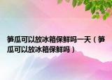 笋瓜可以放冰箱保鲜吗一天（笋瓜可以放冰箱保鲜吗）