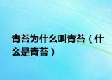 青苔为什么叫青苔（什么是青苔）