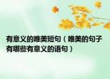 有意义的唯美短句（唯美的句子 有哪些有意义的语句）