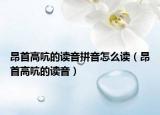 昂首高吭的读音拼音怎么读（昂首高吭的读音）