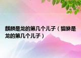 麒麟是龙的第几个儿子（貔貅是龙的第几个儿子）