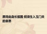 愿得此身长报国 何须生入玉门关的意思