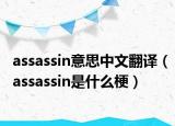 assassin意思中文翻译（assassin是什么梗）