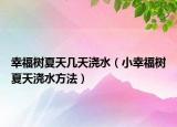 幸福树夏天几天浇水（小幸福树夏天浇水方法）
