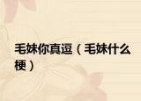 毛妹你真逗（毛妹什么梗）