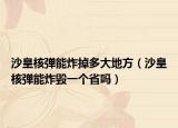 沙皇核弹能炸掉多大地方（沙皇核弹能炸毁一个省吗）