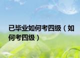 已毕业如何考四级（如何考四级）