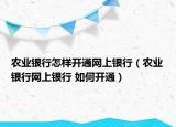 农业银行怎样开通网上银行（农业银行网上银行 如何开通）