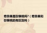 奇异果是弥猴桃吗?（奇异果和弥猴桃的有区别吗）