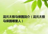 混元太极马保国简介（混元太极马保国哪里人）