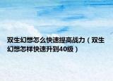 双生幻想怎么快速提高战力（双生幻想怎样快速升到40级）