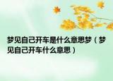 梦见自己开车是什么意思梦（梦见自己开车什么意思）
