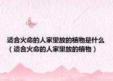 适合火命的人家里放的植物是什么（适合火命的人家里放的植物）