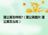 蒲公英怎样吃?（蒲公英图片 蒲公英怎么吃）