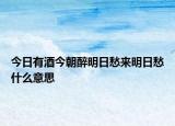 今日有酒今朝醉明日愁来明日愁什么意思