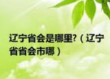 辽宁省会是哪里?（辽宁省省会市哪）