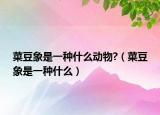 菜豆象是一种什么动物?（菜豆象是一种什么）