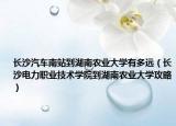 长沙汽车南站到湖南农业大学有多远（长沙电力职业技术学院到湖南农业大学攻略）