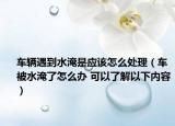 车辆遇到水淹是应该怎么处理（车被水淹了怎么办 可以了解以下内容）