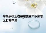 苹果手机王者荣耀麦克风权限怎么打开苹果