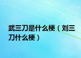 武三刀是什么梗（刘三刀什么梗）