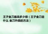 王子金刀最高多少级（王子金刀是什么 金刀升级的方法）