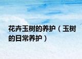 花卉玉树的养护（玉树的日常养护）