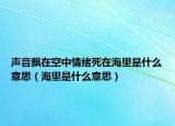 声音飘在空中情绪死在海里是什么意思（海里是什么意思）