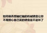 如何保养黑轴红轴的机械键盘让你不用担心自己买的键盘是不是坏了