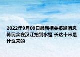2022年9月09日最新相关报道消息 韩民众在汉江拍到水怪 长达十米是什么来的