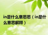 in是什么意思思（in是什么意思解释）