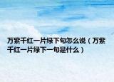 万紫千红一片绿下句怎么说（万紫千红一片绿下一句是什么）