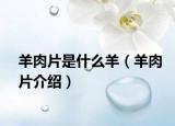 羊肉片是什么羊（羊肉片介绍）