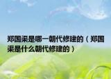 郑国渠是哪一朝代修建的（郑国渠是什么朝代修建的）