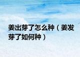 姜出芽了怎么种（姜发芽了如何种）